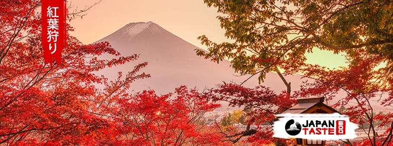 momiji Autumn in Japan