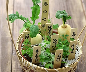 Nanakusa no Sekku 七草の節句 7 Herbs Festival January 7