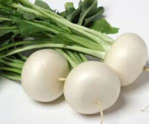 Japanese turnip